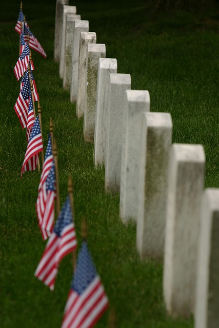 us army flag
