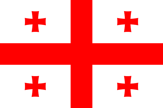 us army national guard flag