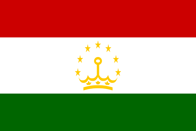 us army national guard flag