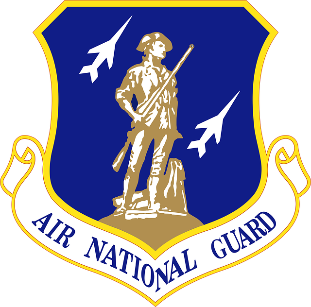 us army national guard flag