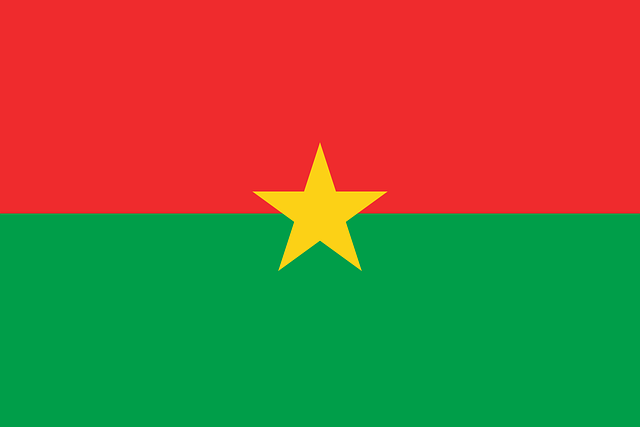 us army national guard flag