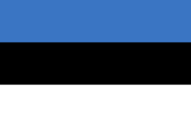 us army national guard flag