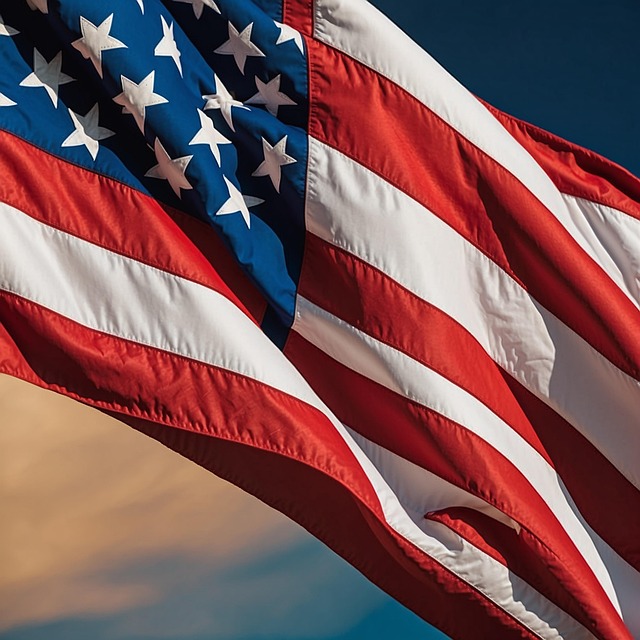 usa