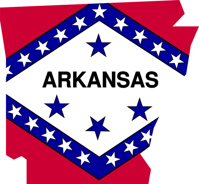 usa flag