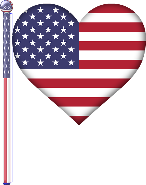 usa flag
