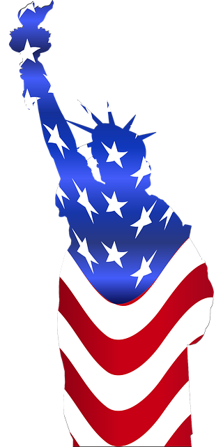 usa flag
