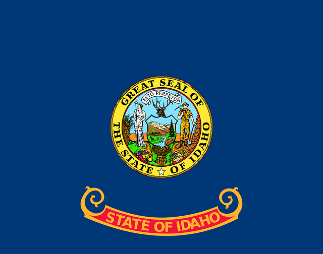 usa flag