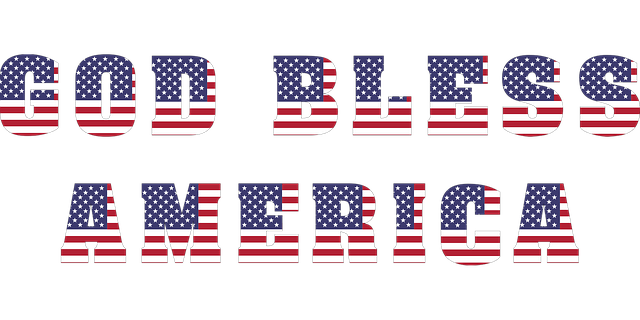 usa flag