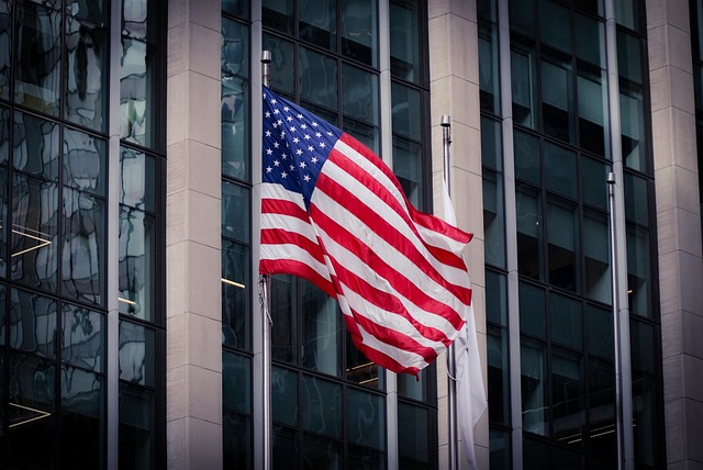 usa flag