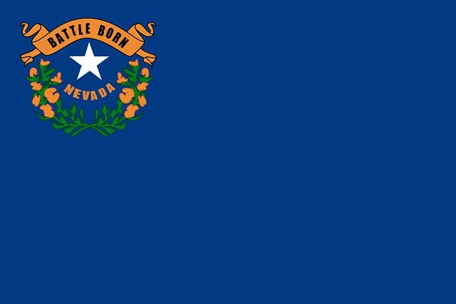 usa flag