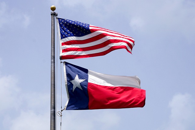 usa flag