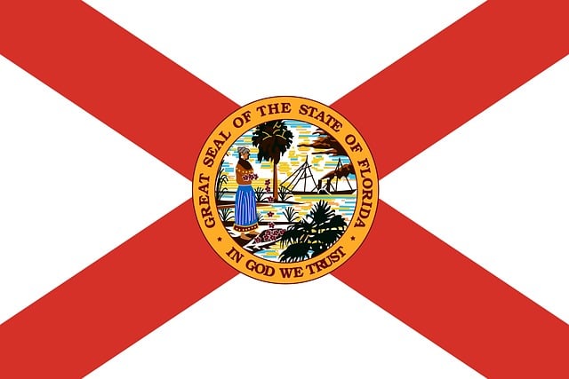we the people american flag