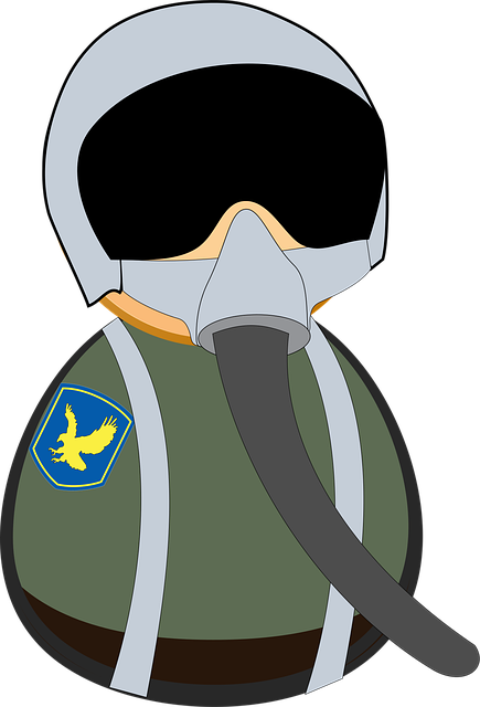 101st airborne division flag
