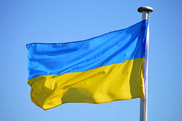 1st cavalry division flag