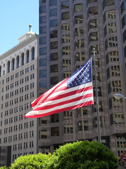 american eagle american flag