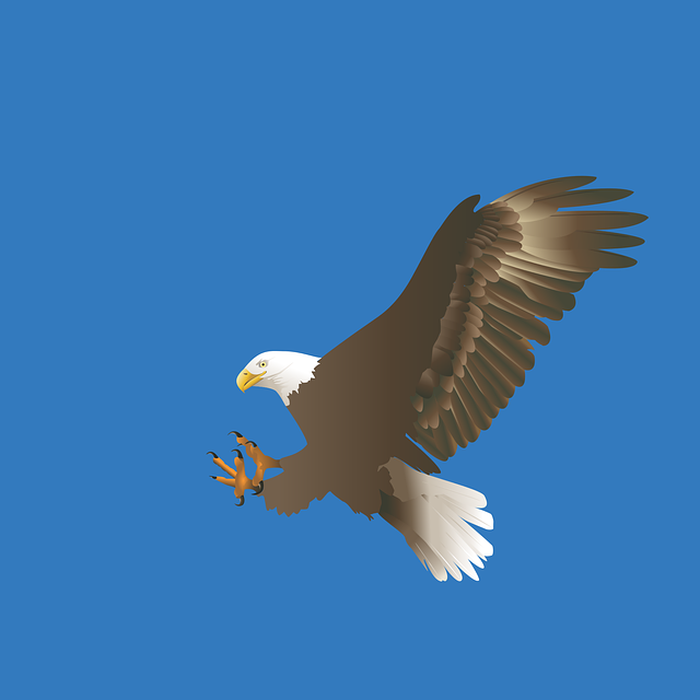 american-eagle-and-flag-640x480-29157359.png