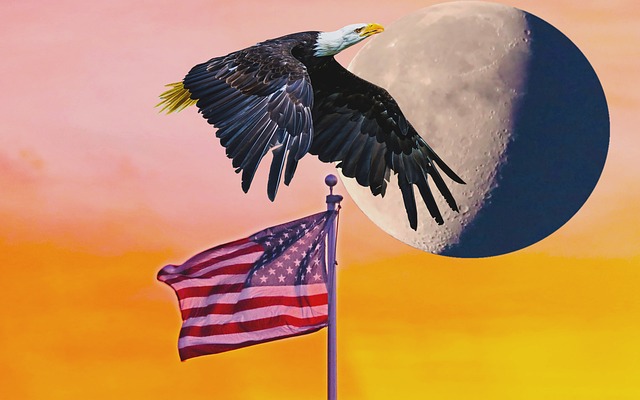 american eagle and flag