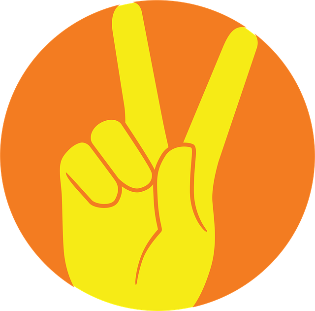 american flag peace sign