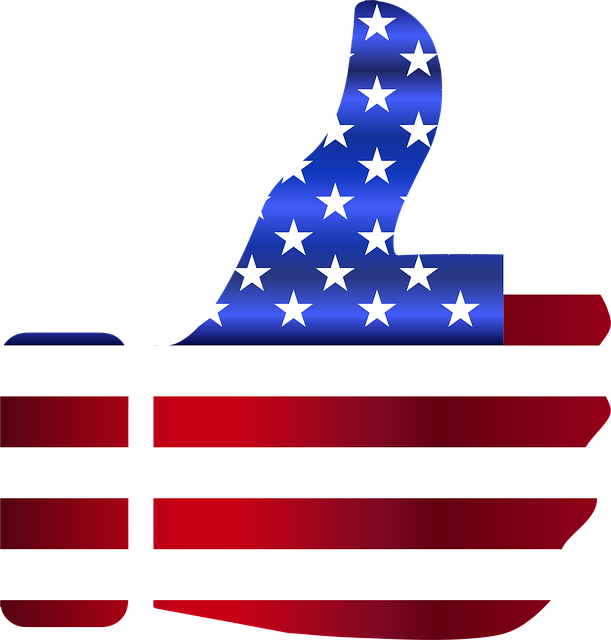 american-flag-peace-sign-640x480-79496501.png