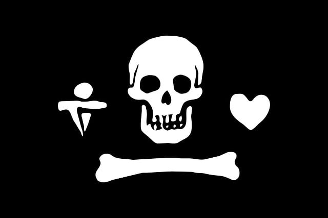 american flag skull