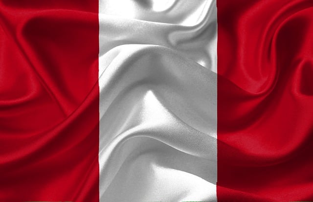 distress american flag