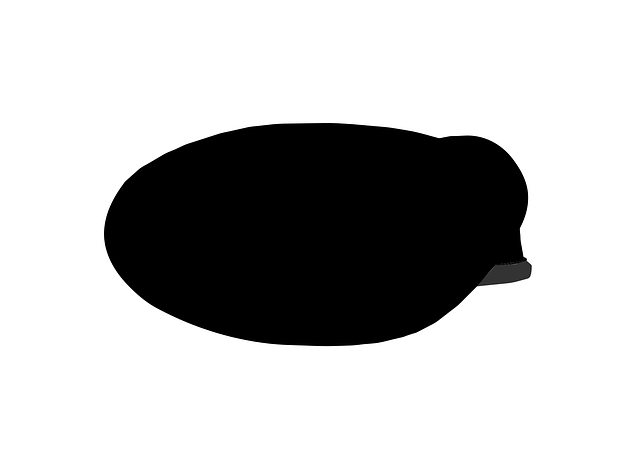 US Army