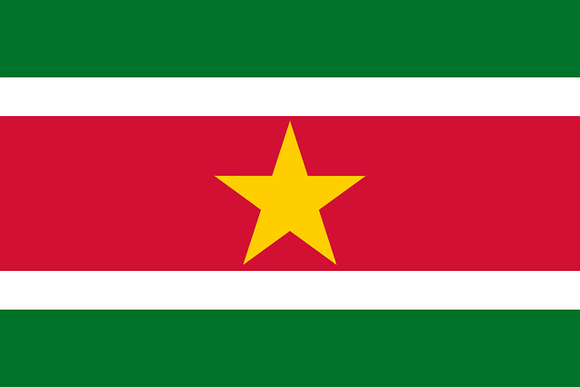 us army national guard flag