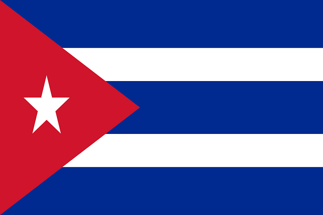 us army national guard flag