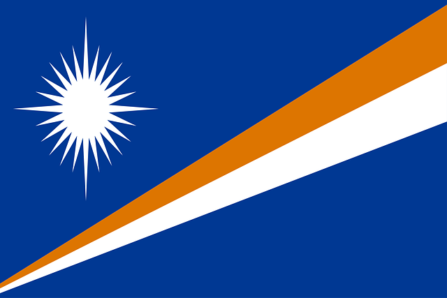 us army national guard flag