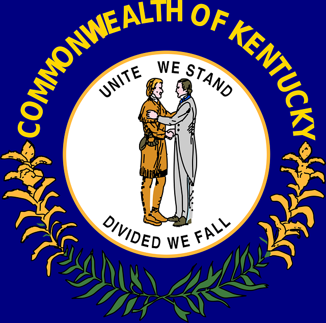us army reserve flag
