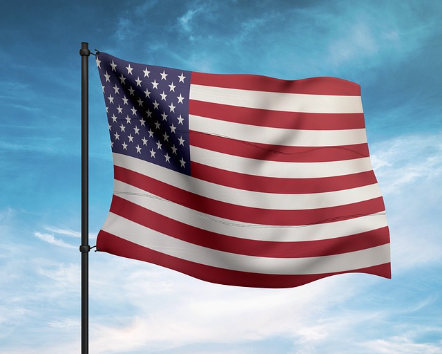 usa flag