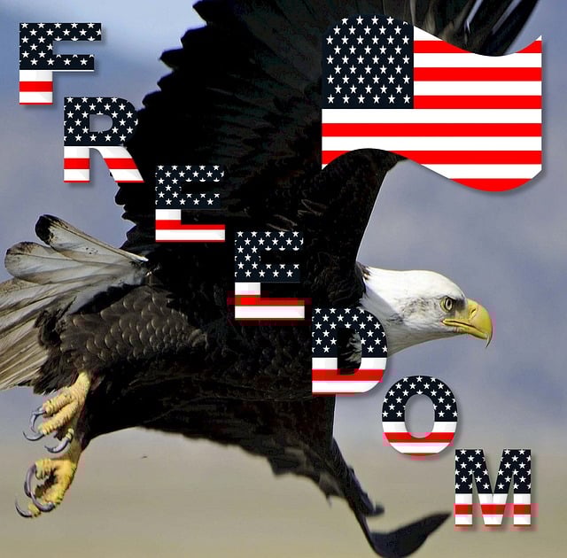 american eagle american flag