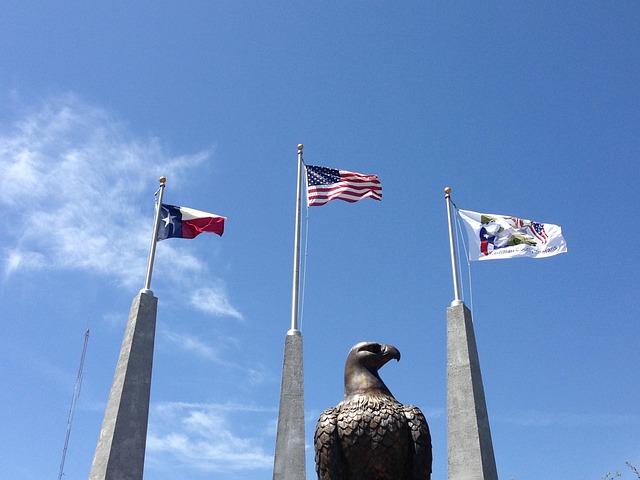 american eagle american flag