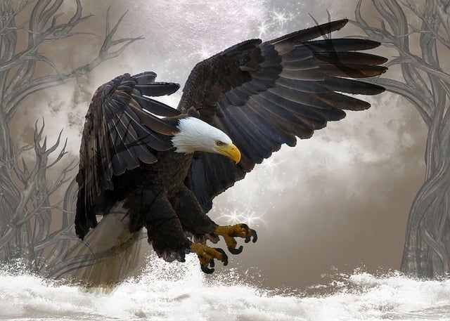 american eagle american flag