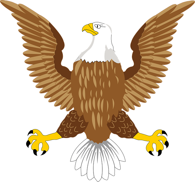 american eagle and flag