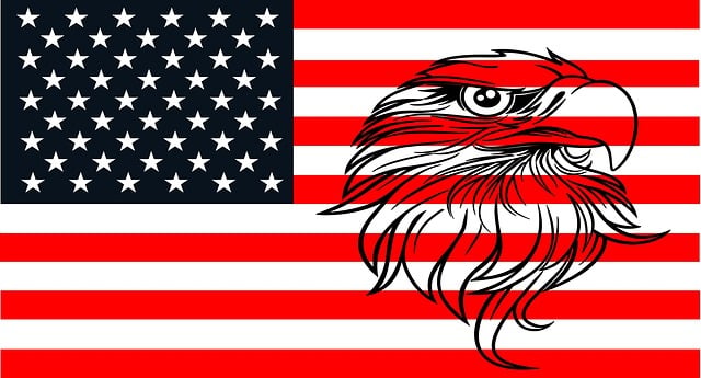 american eagle and flag