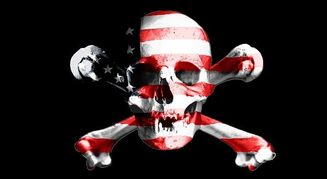 american flag skull