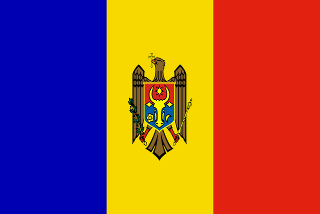us army national guard flag