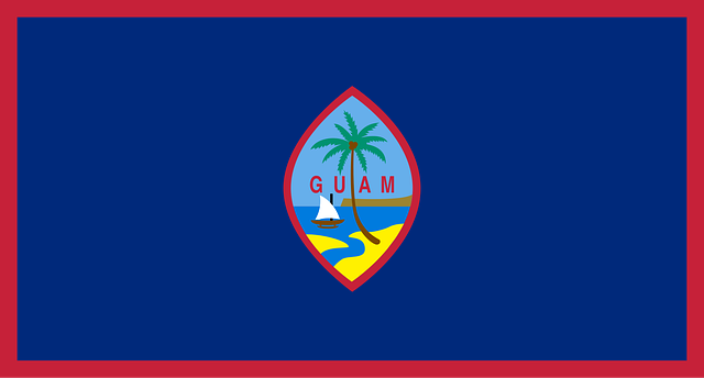 us army national guard flag
