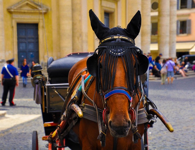 1st-cavalry-division-flag-640x480-46646393.jpeg