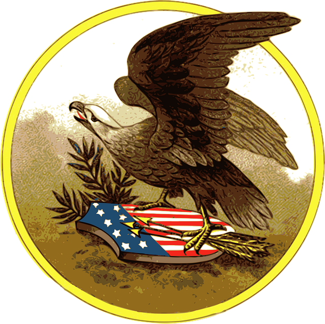 american eagle american flag