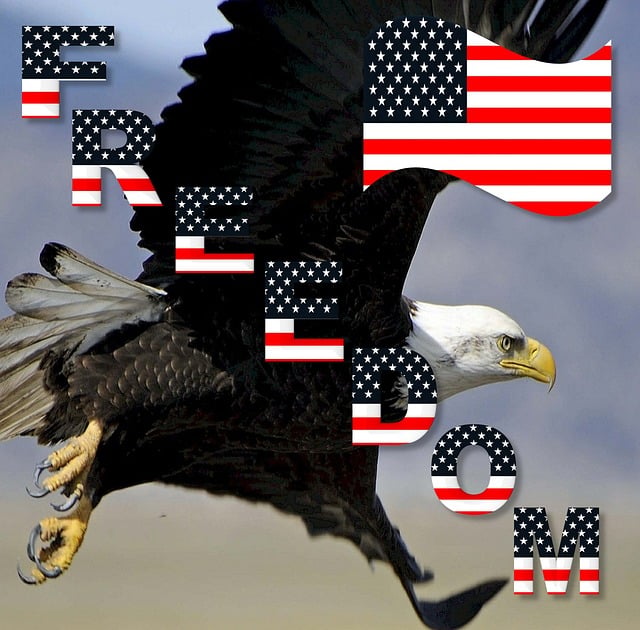 american-eagle-american-flag-640x480-77021654.jpeg