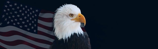 american eagle and flag