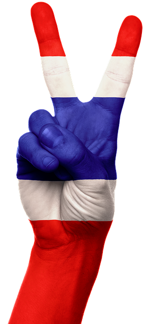 american flag peace sign