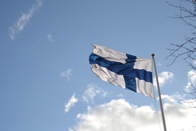 Balkenkreuz Flag