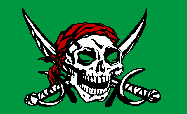 buy pirate flags