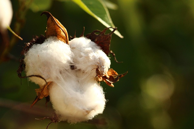 Cotton Rebel Flags