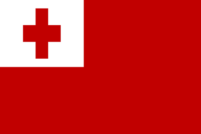 High quality reproduction First National Confederate flag