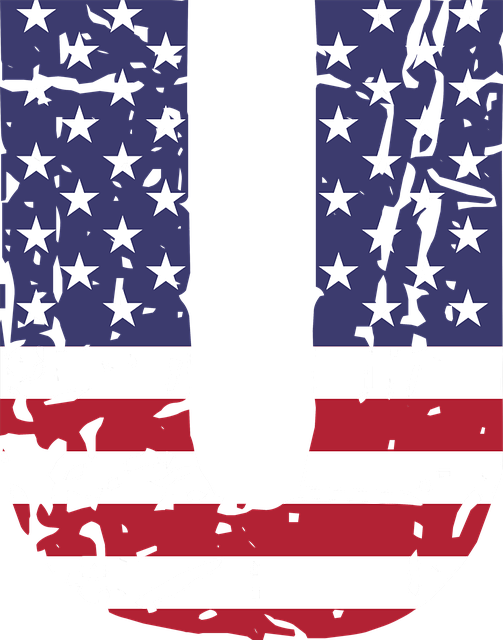 italian american flag