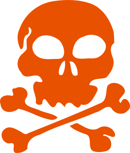 pirate flags